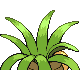 Exeggutor, Back, in HeartGold & SoulSilver
