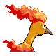 Moltres, Back, in HeartGold & SoulSilver