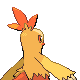 Combusken, Back, in HeartGold & SoulSilver