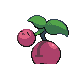Cherubi, Back, in HeartGold & SoulSilver