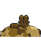 Hippopotas, Back, in HeartGold & SoulSilver