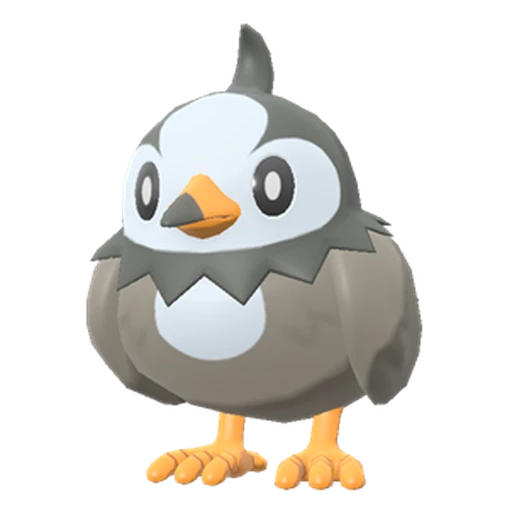 Starly, Front, in Legends: Arceus