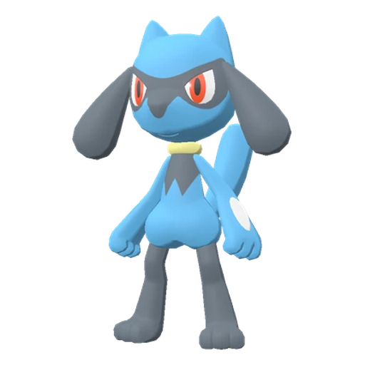 Riolu, Front, in Legends: Arceus