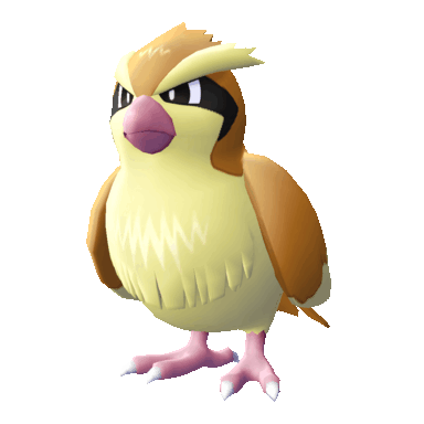 Pidgey in Let's Go Pikachu & Eevee