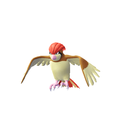 Pidgeotto in Let's Go Pikachu & Eevee