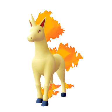 Rapidash in Let's Go Pikachu & Eevee