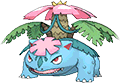 Venusaur Mega in Omega Ruby & Alpha Sapphire