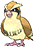 Pidgey, Front, in Omega Ruby & Alpha Sapphire