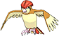 Pidgeotto, Front, in Omega Ruby & Alpha Sapphire