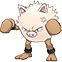 Primeape, Front, in Omega Ruby & Alpha Sapphire