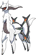 Arceus Dark, Front, in Omega Ruby & Alpha Sapphire