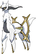 Arceus Rock in Omega Ruby & Alpha Sapphire