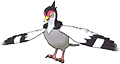 Tranquill, Front, in Omega Ruby & Alpha Sapphire