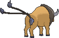 Tauros, Back, in Omega Ruby & Alpha Sapphire