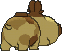 Hippopotas, Back, in Omega Ruby & Alpha Sapphire
