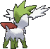 Shaymin Sky Forme, Back, in Omega Ruby & Alpha Sapphire