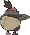 Vullaby, Back, in Omega Ruby & Alpha Sapphire