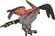 Talonflame, Back, in Omega Ruby & Alpha Sapphire