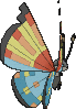 Vivillon Ocean, Back, in Omega Ruby & Alpha Sapphire