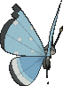Vivillon Tundra, Back, in Omega Ruby & Alpha Sapphire