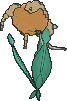 Florges Orange Flower, Back, in Omega Ruby & Alpha Sapphire