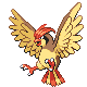 Pidgeotto, Front, in Platinum