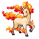 Rapidash in Platinum