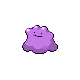 Ditto in Platinum