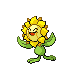 Sunflora in Platinum