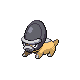 Shieldon, Front, in Platinum
