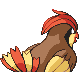 Pidgeotto, Back, in Platinum