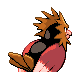 Spearow, Back, in Platinum