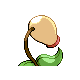 Bellsprout, Back, in Platinum