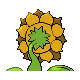 Sunflora, Back, in Platinum