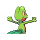 Treecko, Back, in Platinum