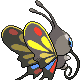 Beautifly, Back, in Platinum