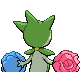 Roselia, Back, in Platinum