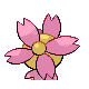 Cherrim Sunshine Form, Back, in Platinum