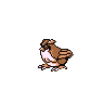 Pidgey