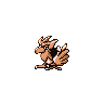 Spearow