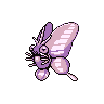 Venomoth