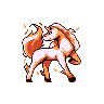 Rapidash in Red & Blue