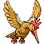 Fearow in Ruby & Sapphire