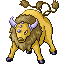 Tauros in Ruby & Sapphire