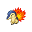 Cyndaquil in Ruby & Sapphire