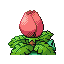 Ivysaur, Back, in Ruby & Sapphire