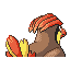 Pidgeotto, Back, in Ruby & Sapphire