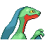 Grovyle, Back, in Ruby & Sapphire