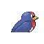 Taillow, Back, in Ruby & Sapphire