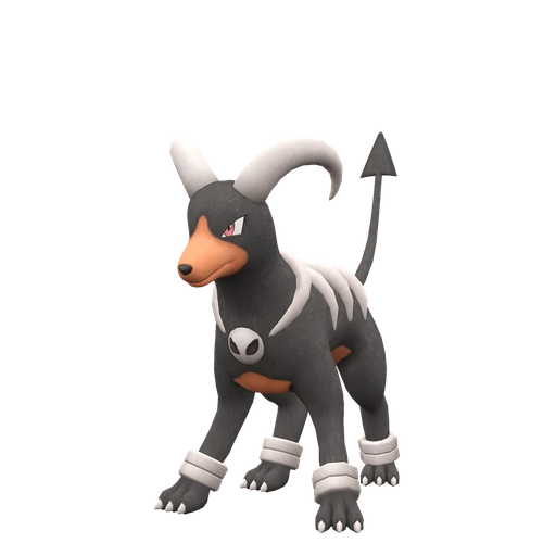 Houndoom, Front, in Scarlet & Violet